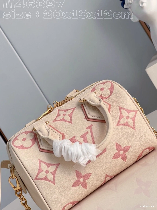 WIS LOUIS SPEEDY VUITTON 20 BANDOULIÈRE 0313